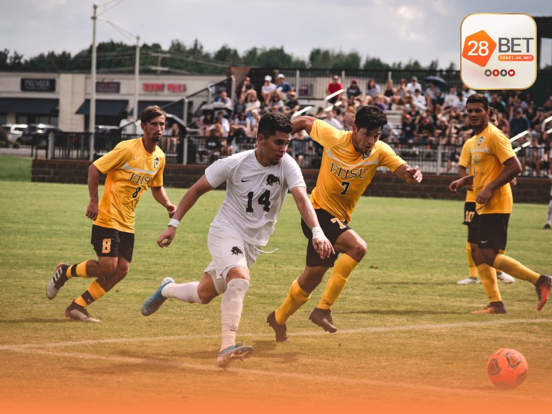 Hướng dẫn đọc các tỷ lệ Kèo Châu Á từ cơ bản đến nâng cao