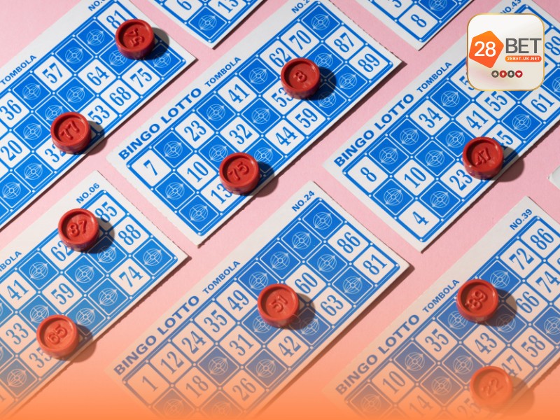 Những công cụ không thể thiếu cho dân soi cầu chuyên nghiệp