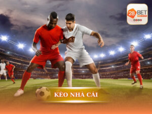 Kèo nhà cái là gì?